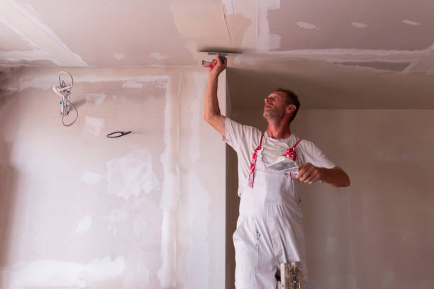 Best Fire-Damaged Drywall Repair  in Shelbyville, TN